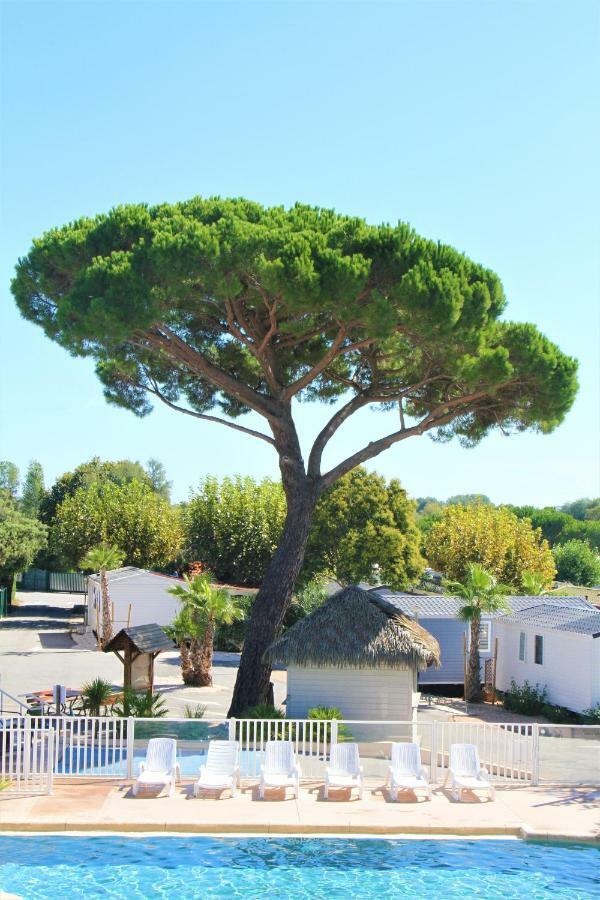 La Pinede Camping Grimaud Bagian luar foto